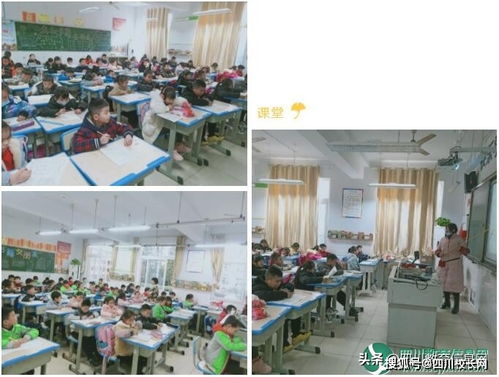 遂宁高级实验学校外国语学校开设课后服务,让教育更有温度